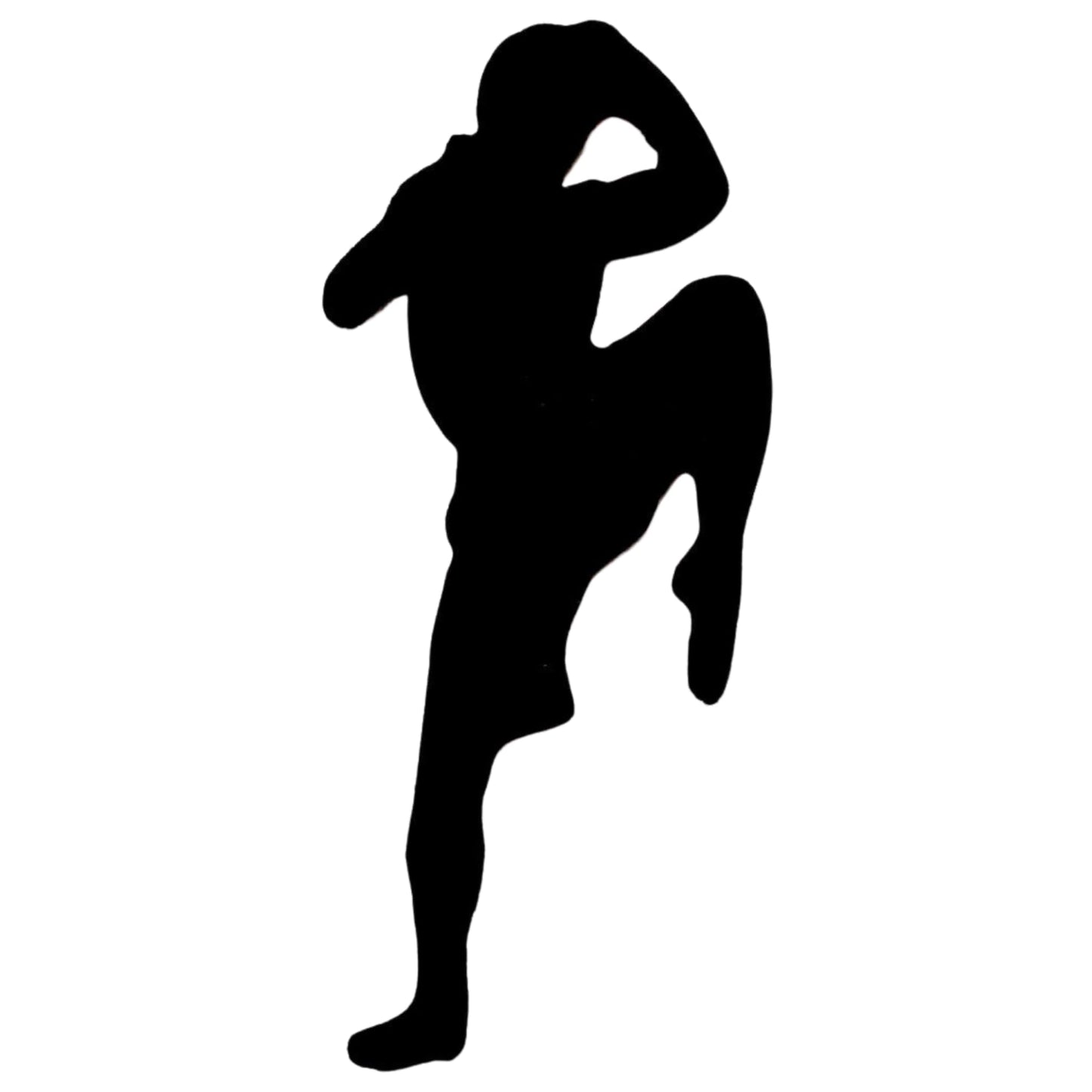Black Fighter Pose Muay Thai Embroidery Iron-On Patches for Clothing Sew-On Applique for DIY Crafts Denim Jackets Jeans Backpacks